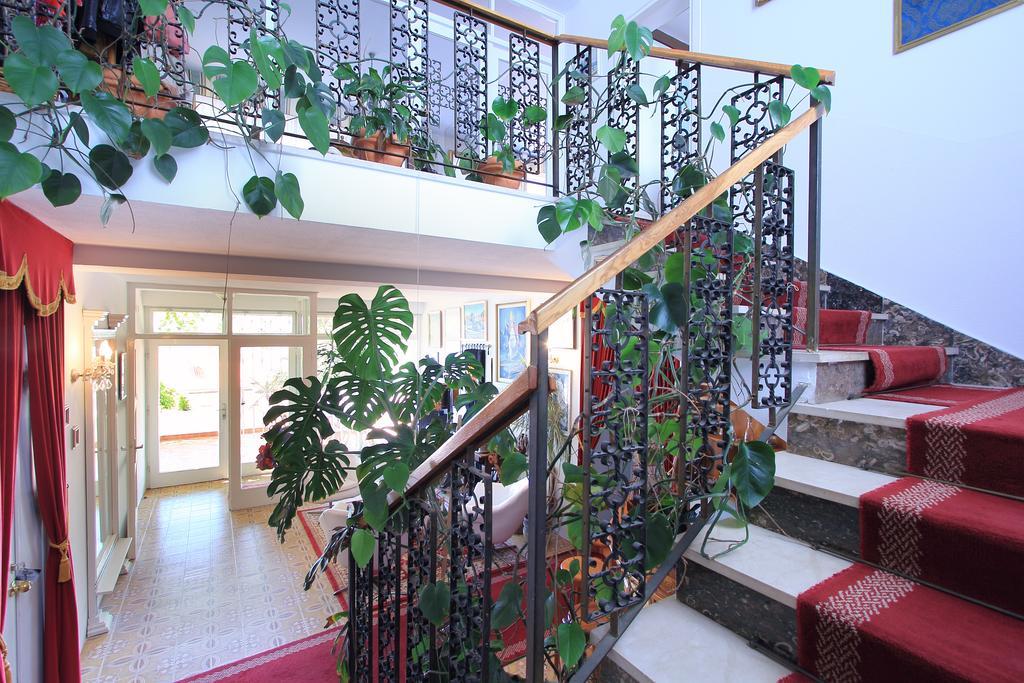 Villa Gloria Dubrovnik Kültér fotó